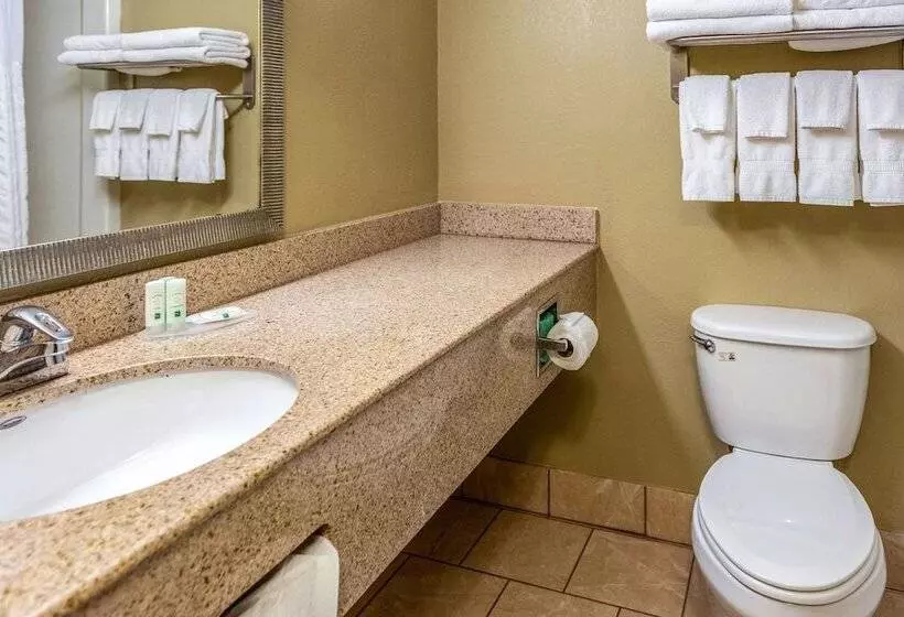 ２ダブルベッドのスタンダードルーム, Quality Inn & Suites