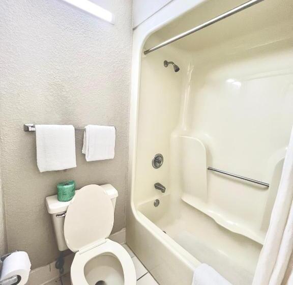 장애인을 위한 킹사이즈 침대 스탠다드 룸, Rodeway Inn Expo Center