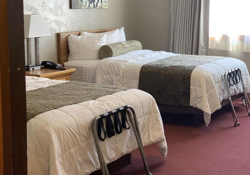 غرفة قياسية لذوى الاحتياجات الخاصة, White Buffalo