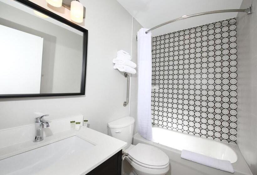 Standard Szoba 2 Franciaággyal, Cedar Lodge Motel