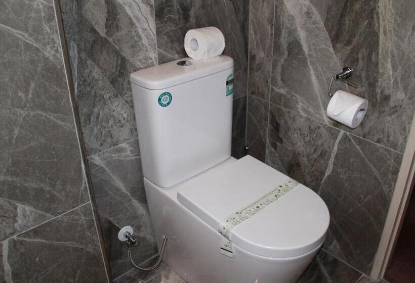 이그제큐티브 스튜디오, Asure Camelot Arms Motor Lodge