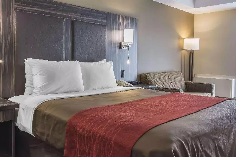 クイーンサイズベッドのスタンダードルーム, Comfort Inn Trenton