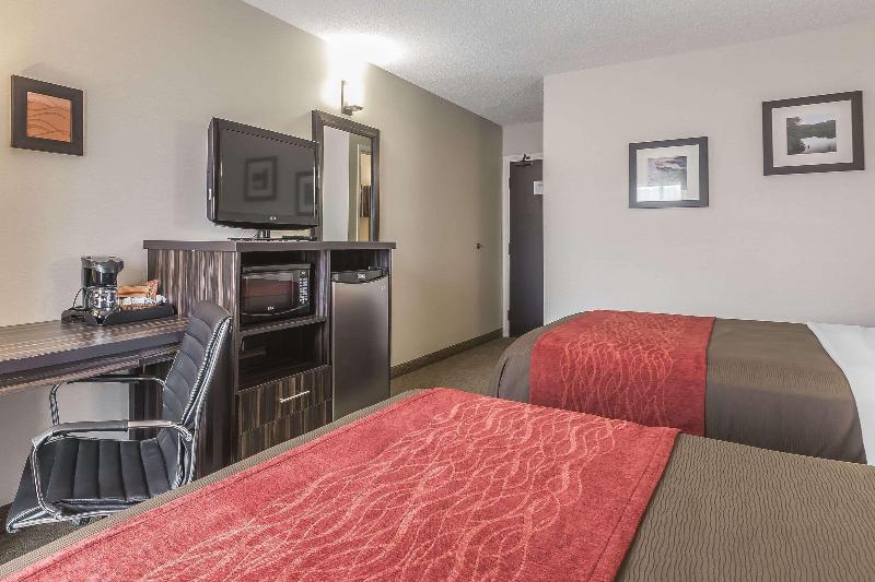 스탠다드 룸 퀸사이즈 침대, Comfort Inn  Trenton