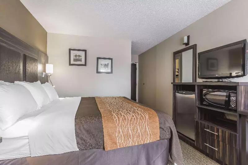 クイーンサイズベッドのスタンダードルーム, Comfort Inn Trenton