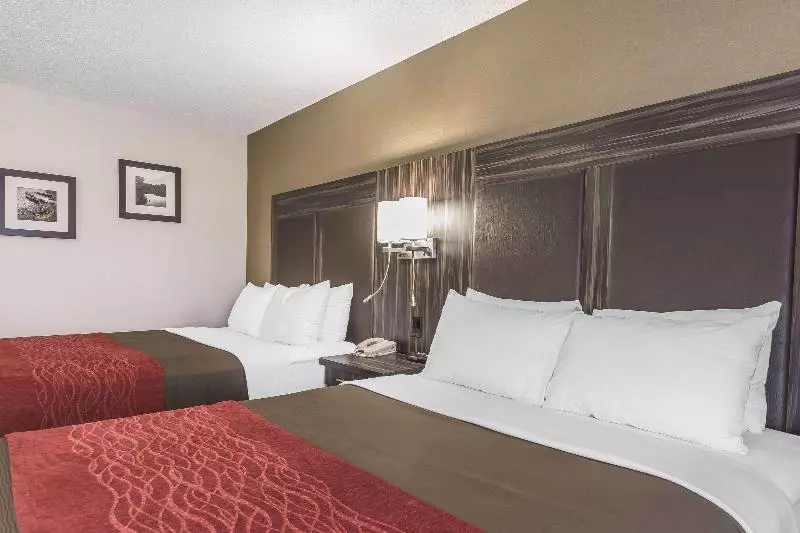 クイーンサイズベッドのスタンダードルーム, Comfort Inn Trenton