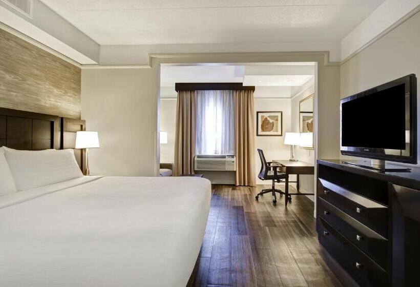 キングサイズベッドのスタンダードルーム, Holiday Inn & Suites Windsor Ambassador Bridge By Ihg