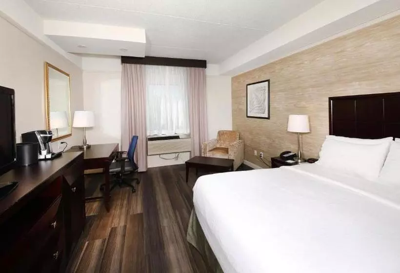 اتاق استاندارد با تخت بزرگ, Holiday Inn & Suites Windsor Ambassador Bridge By Ihg