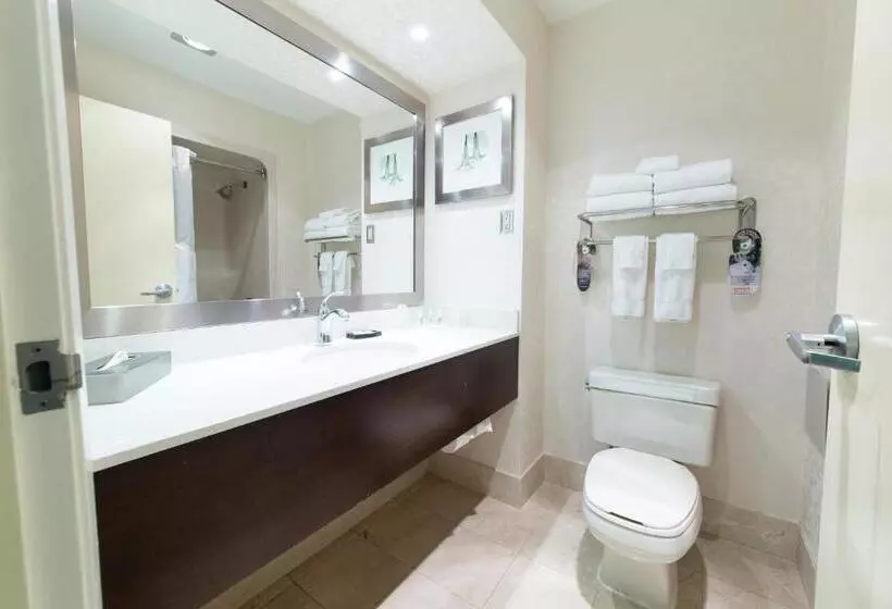اتاق استاندارد با تخت بزرگ, Holiday Inn & Suites Windsor Ambassador Bridge By Ihg