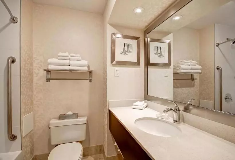 اتاق استاندارد, Holiday Inn & Suites Windsor Ambassador Bridge By Ihg