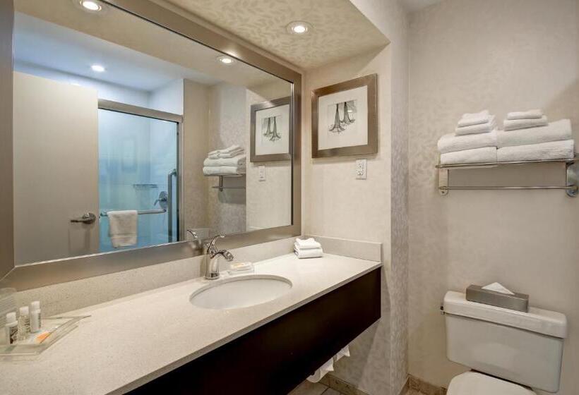 Номер Стандарт Адаптированный для Инвалидов, Holiday Inn & Suites Windsor Ambassador Bridge By Ihg