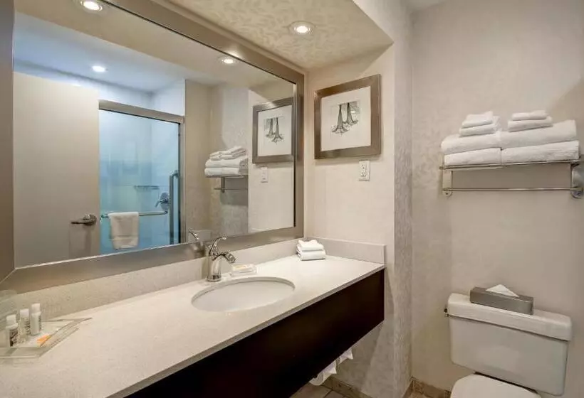 اتاق استاندارد برای معلولان, Holiday Inn & Suites Windsor Ambassador Bridge By Ihg