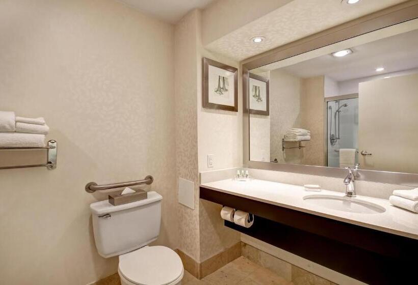 身障者適用スタンダードルーム, Holiday Inn & Suites Windsor Ambassador Bridge By Ihg