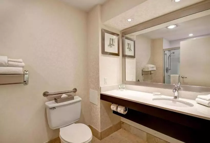 اتاق استاندارد برای معلولان, Holiday Inn & Suites Windsor Ambassador Bridge By Ihg