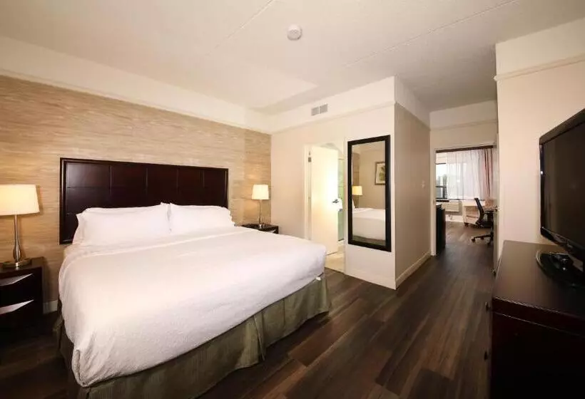 سوئیت با تخت بزرگ, Holiday Inn & Suites Windsor Ambassador Bridge By Ihg