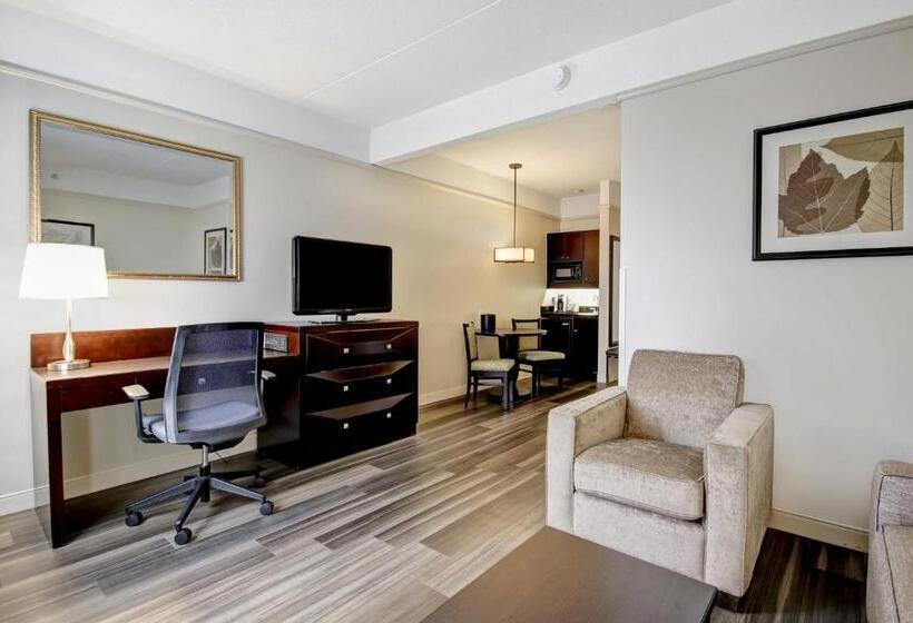 キングサイズベッドのスイートルーム, Holiday Inn & Suites Windsor Ambassador Bridge By Ihg