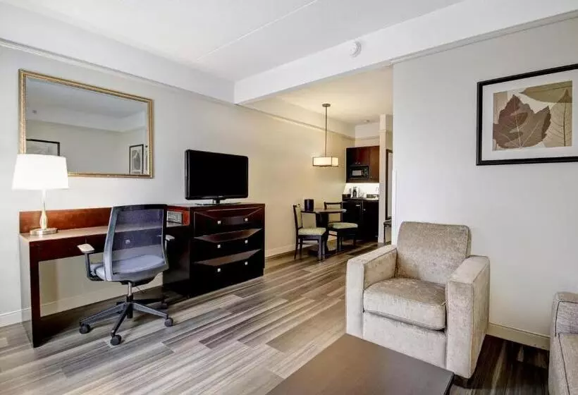 سوئیت با تخت بزرگ, Holiday Inn & Suites Windsor Ambassador Bridge By Ihg