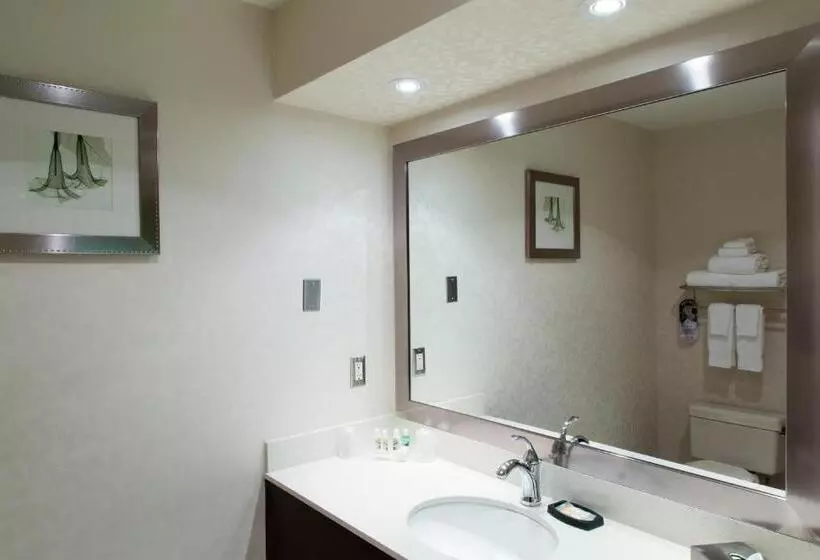 سوئیت با تخت بزرگ, Holiday Inn & Suites Windsor Ambassador Bridge By Ihg