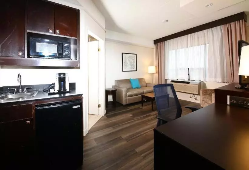 سوئیت با تخت بزرگ, Holiday Inn & Suites Windsor Ambassador Bridge By Ihg