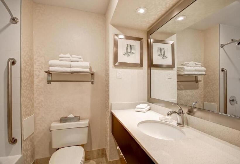 キングサイズベッドのスイートルーム, Holiday Inn & Suites Windsor Ambassador Bridge By Ihg