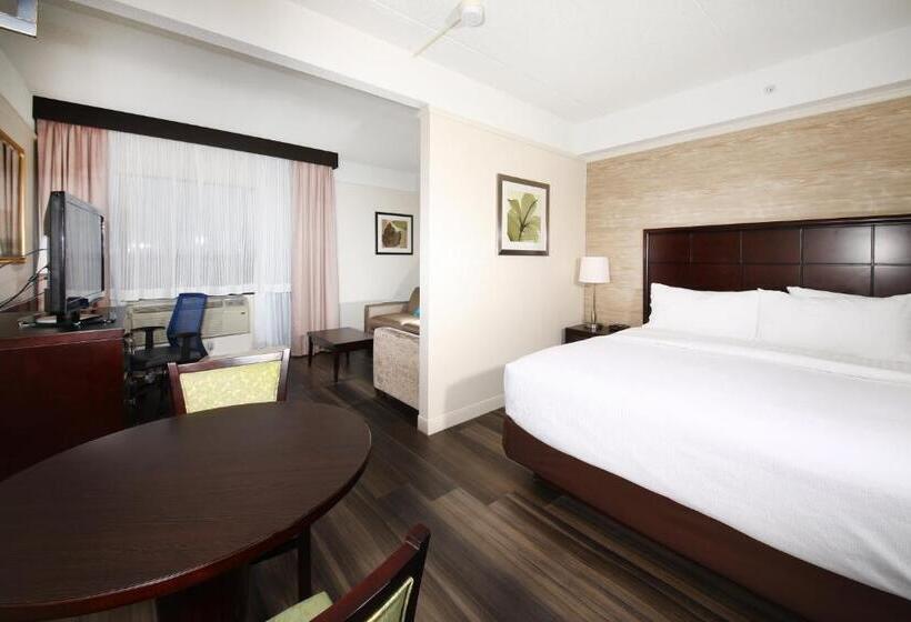 Люкс Кровать Кинг, Holiday Inn & Suites Windsor Ambassador Bridge By Ihg