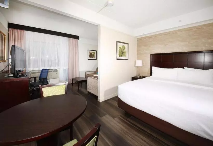 سوئیت با تخت بزرگ, Holiday Inn & Suites Windsor Ambassador Bridge By Ihg