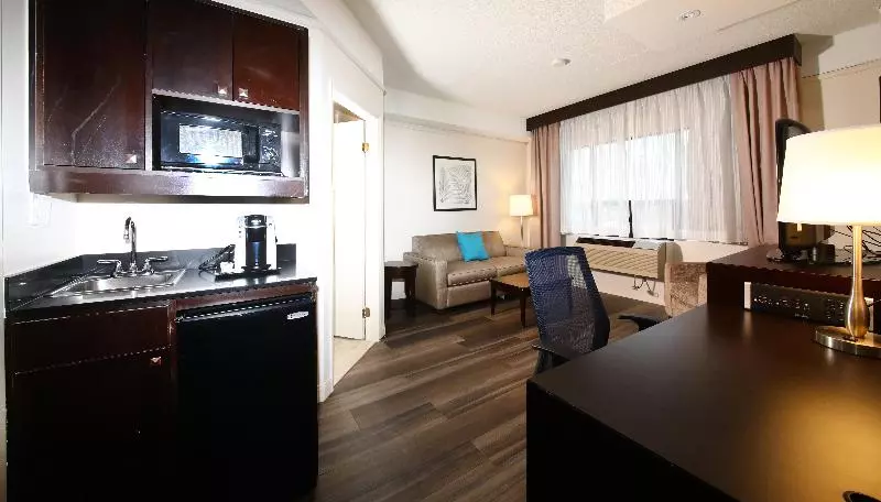 سوئیت با تخت بزرگ, Holiday Inn & Suites Windsor Ambassador Bridge By Ihg