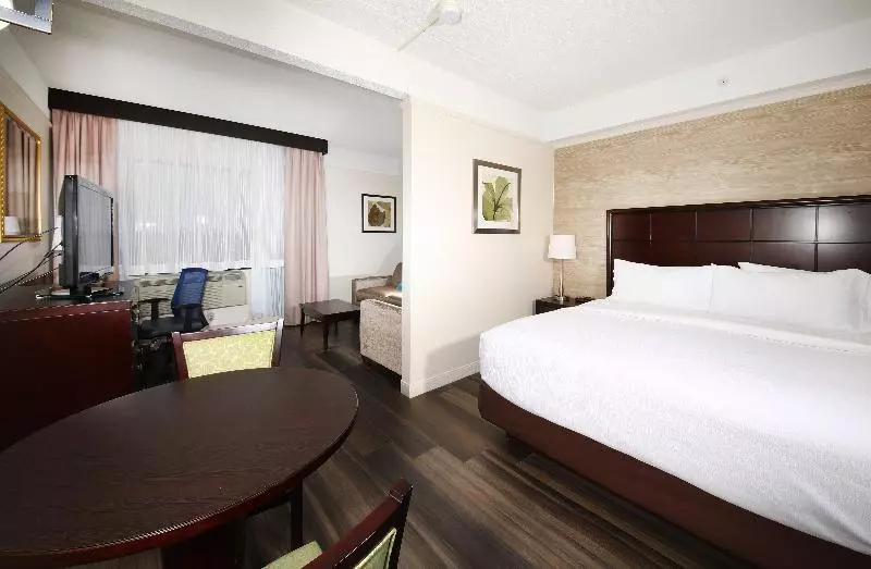 سوئیت با تخت بزرگ, Holiday Inn & Suites Windsor Ambassador Bridge By Ihg