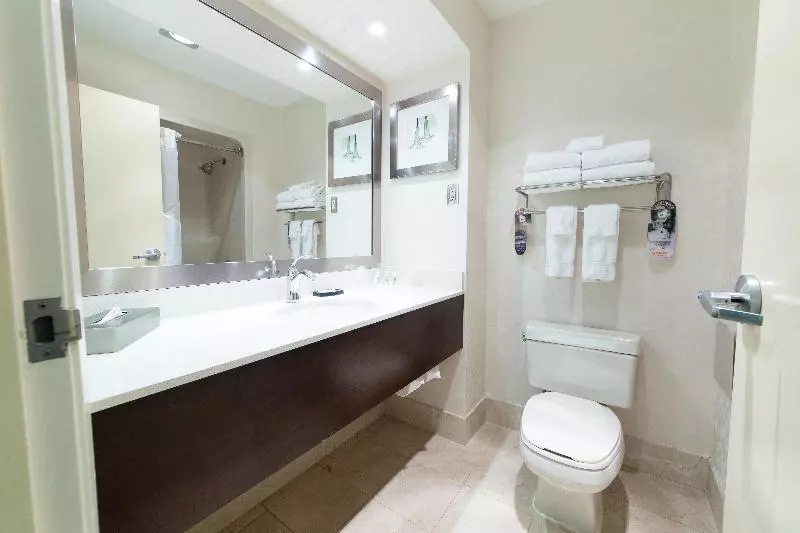 سوئیت با تخت بزرگ, Holiday Inn & Suites Windsor Ambassador Bridge By Ihg