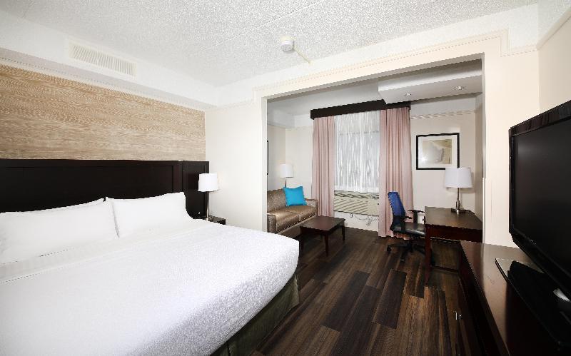 Standardrum King Size Säng, Holiday Inn & Suites Windsor Ambassador Bridge By Ihg