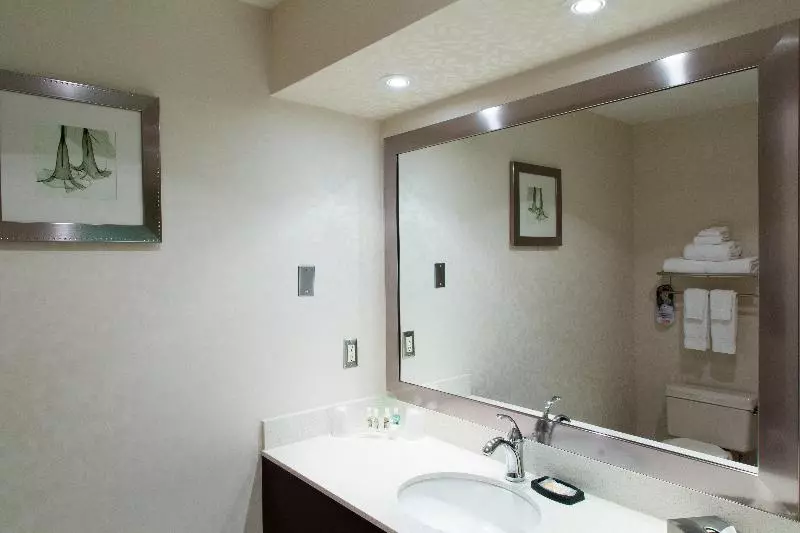 اتاق استاندارد, Holiday Inn & Suites Windsor Ambassador Bridge By Ihg