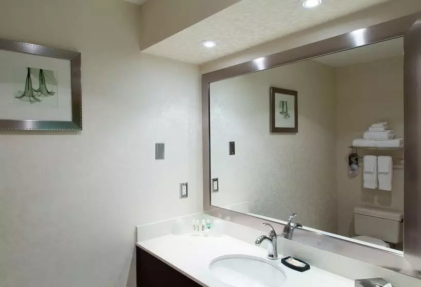 اتاق استاندارد, Holiday Inn & Suites Windsor Ambassador Bridge By Ihg