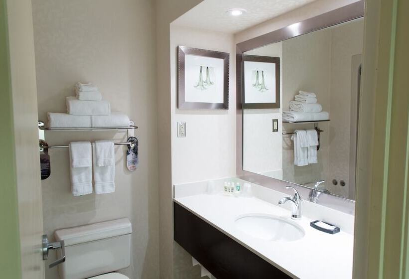 Standardrum, Holiday Inn & Suites Windsor Ambassador Bridge By Ihg