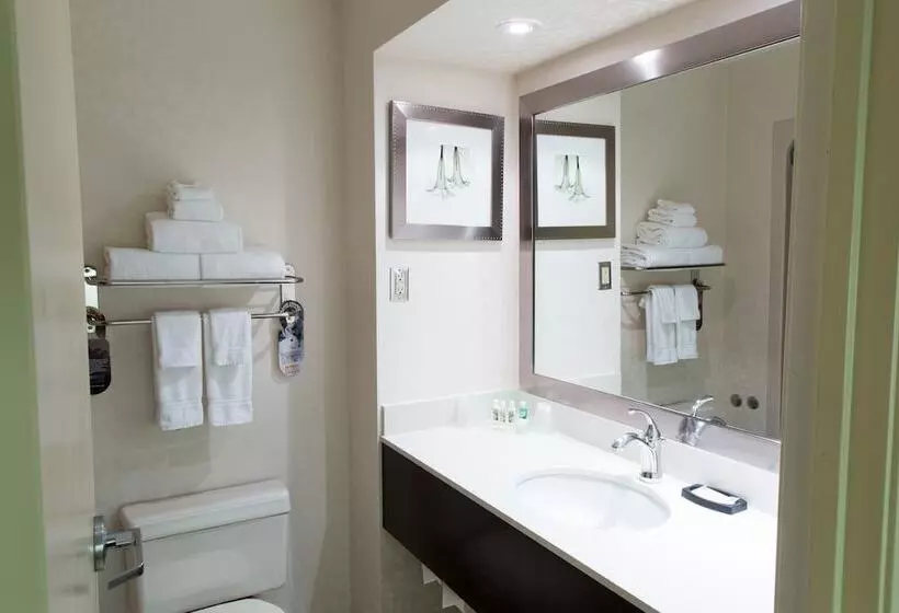 اتاق استاندارد, Holiday Inn & Suites Windsor Ambassador Bridge By Ihg