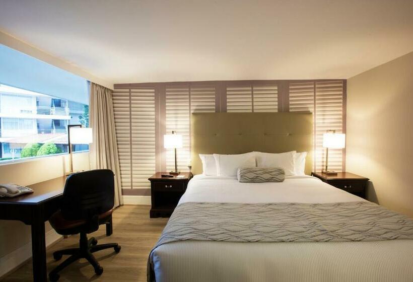 اتاق استاندارد با تخت بزرگ, Krystal Satelite Maria Barbara