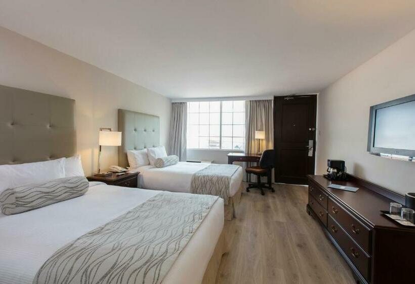 اتاق استاندارد, Krystal Satelite Maria Barbara