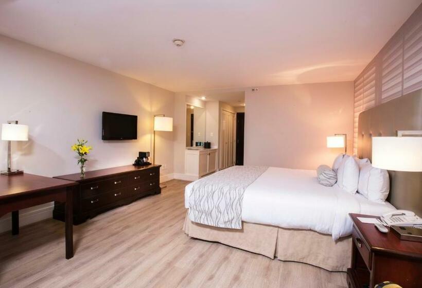 اتاق لوکس با تخت بزرگ, Krystal Satelite Maria Barbara