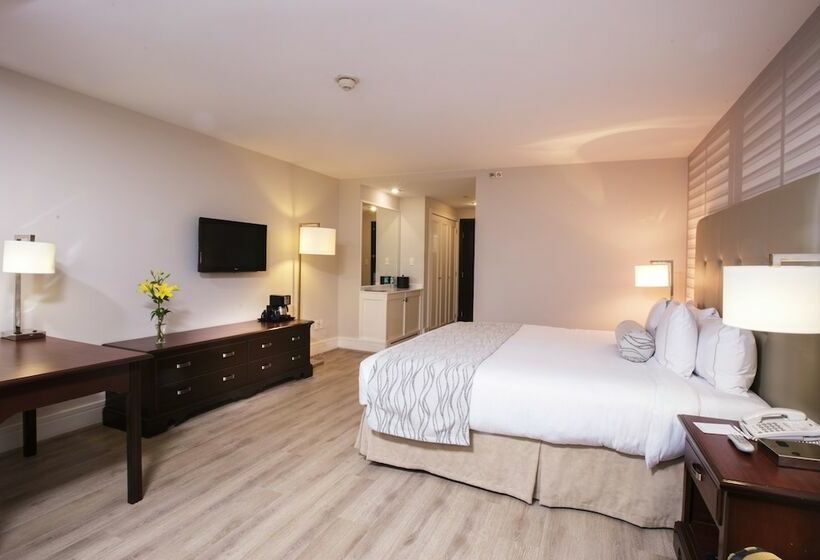 اتاق لوکس, Krystal Satelite Maria Barbara