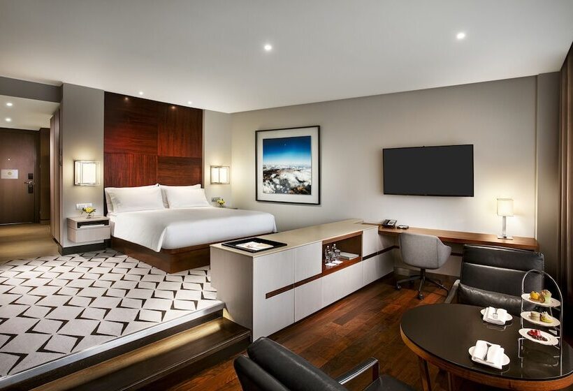 带观景的豪华间, Mandarin Oriental Santiago