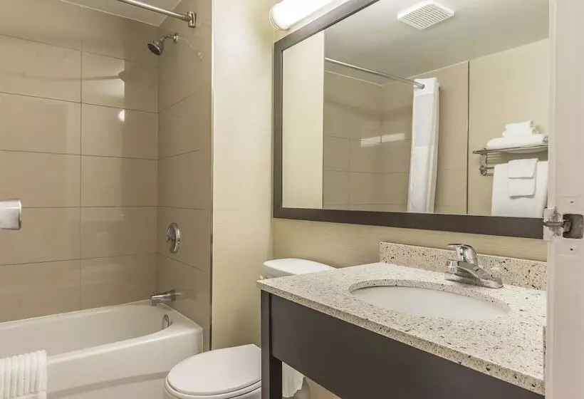 اتاق استاندارد با 2 تخت دوبل, Ramada By Wyndham Kingston