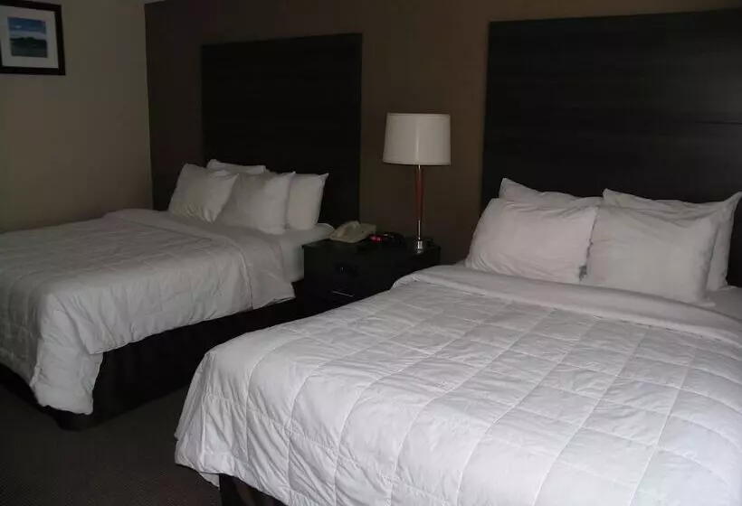 اتاق استاندارد با 2 تخت دوبل, Ramada By Wyndham Kingston