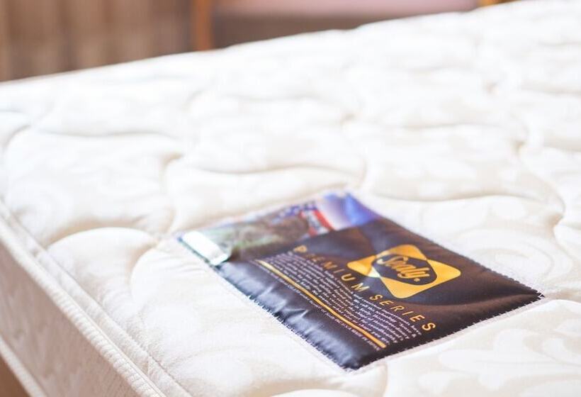 スタンダードルーム, New Otani Takaoka