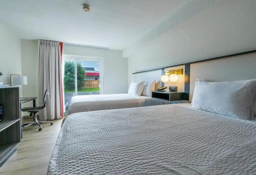 اتاق استاندارد, Ramada By Wyndham Kingston