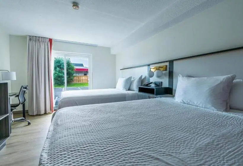 اتاق استاندارد, Ramada By Wyndham Kingston