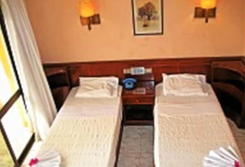 اتاق سوپریور یک تخته, Sea Horse