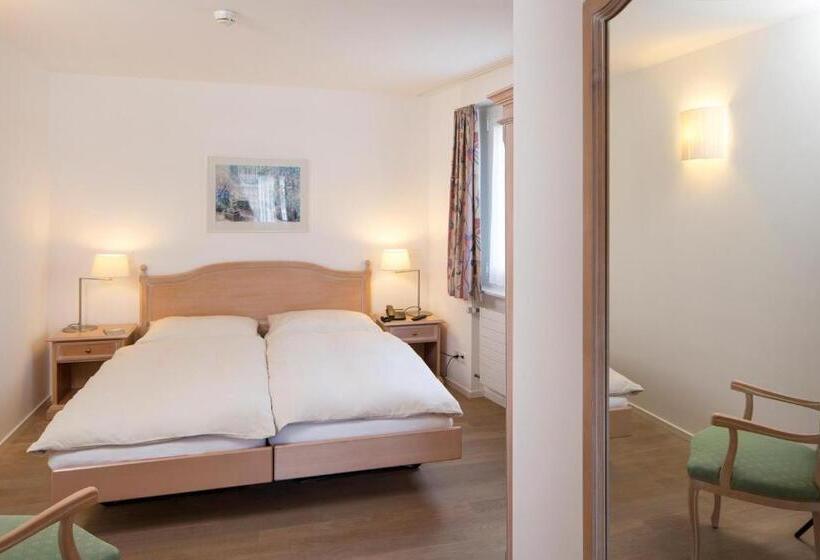 经济房, Stella Sa