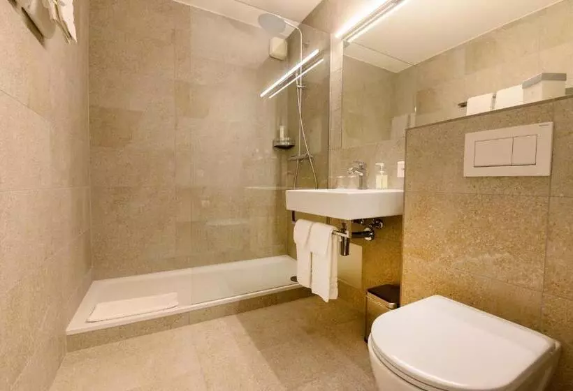 ビジネスルーム, Romantik Hotel & Restaurant Sternen