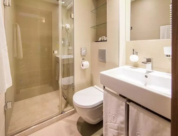 リバービュースタンダードルーム, Boutique Hotel Victoria Budapest