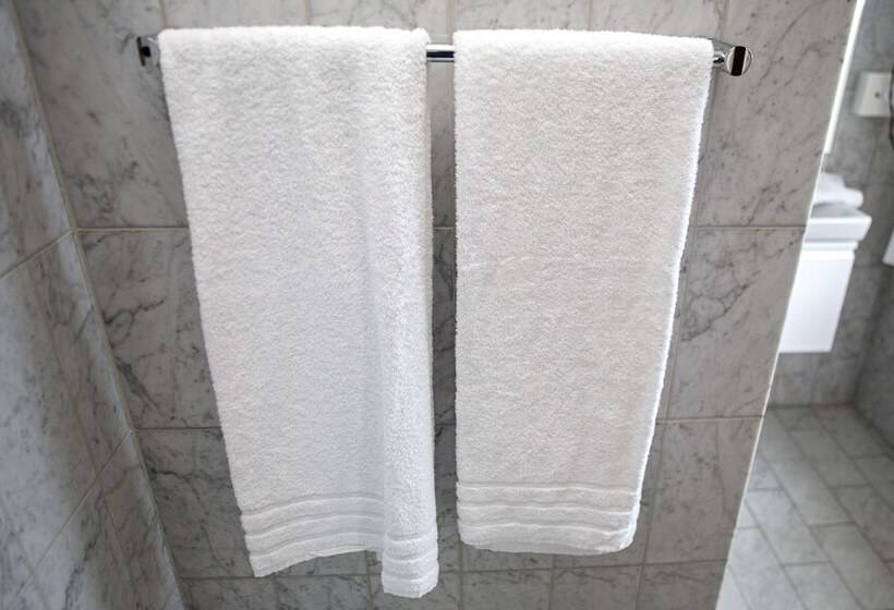 חדר ביזנס, Europa