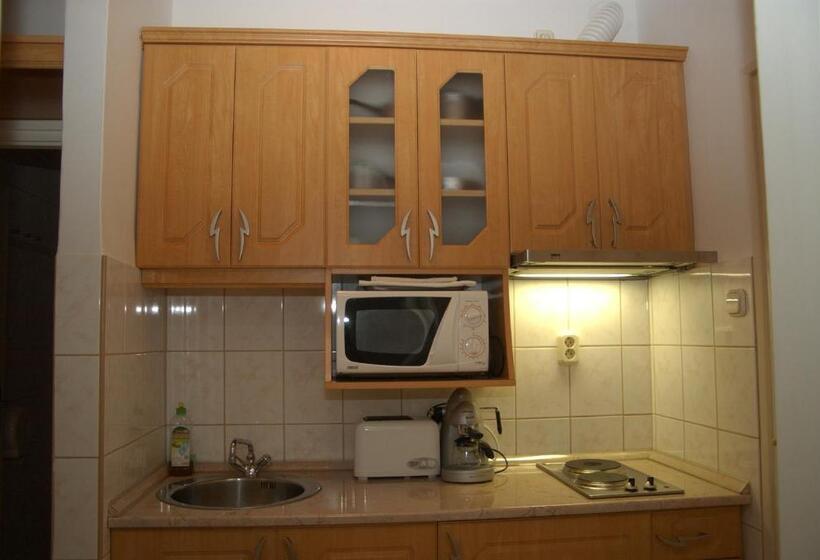 Апартаменты 1 Спальня, Siesta Club Apartman Harkány