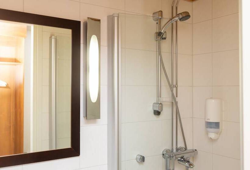 수피리어 싱글 룸, Finlandia Hotel Alba